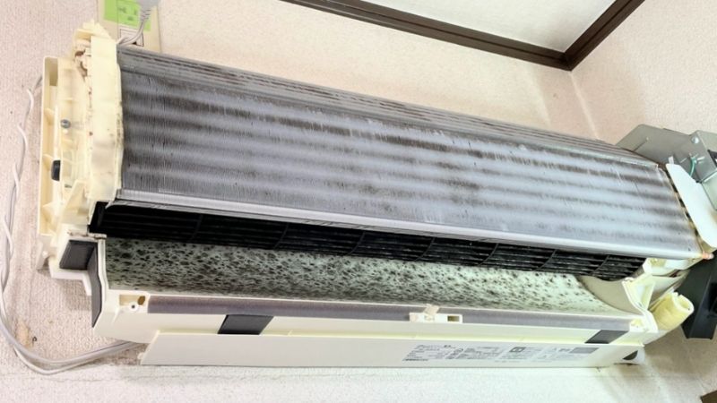 カビだらけになっていたエアコン内部
